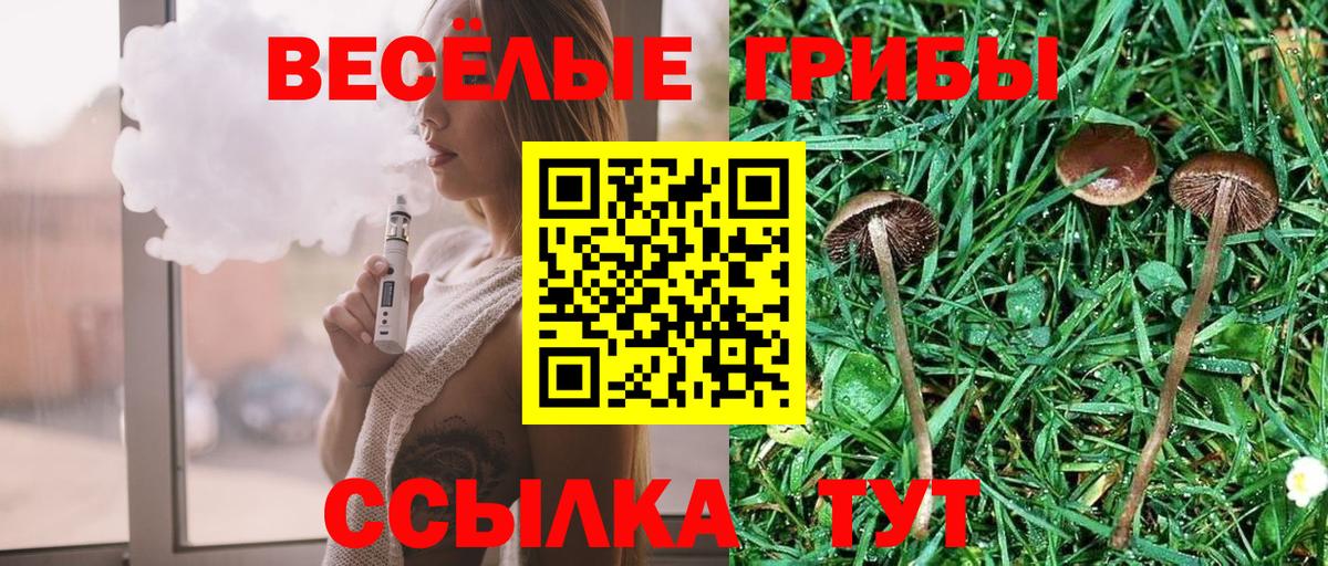 Псилоцибиновые грибы Psilocybe Выкса