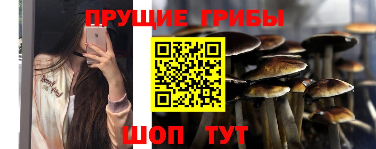 Галлюциногенные грибы Psilocybine cubensis  Вход с VPN  наркошоп  Выкса  Псилоцибиновые грибы GOLDEN TEACHER 